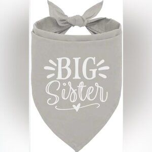 Gray 'Big Sister' Kids Bandana Bib
